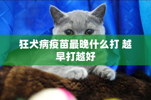 狂犬病疫苗最晚什么打 越早打越好