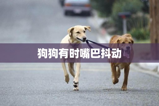 狗狗有時嘴巴抖動