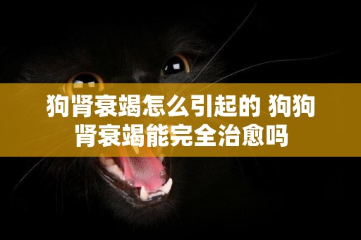 狗腎衰竭怎么引起的 狗狗腎衰竭能完全治愈嗎