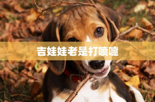吉娃娃老是打噴嚏