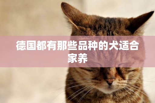 德國都有那些品種的犬適合家養