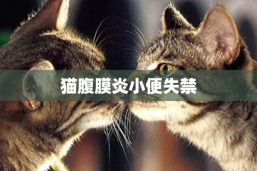 貓腹膜炎小便失禁