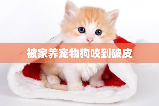 被家養寵物狗咬到破皮