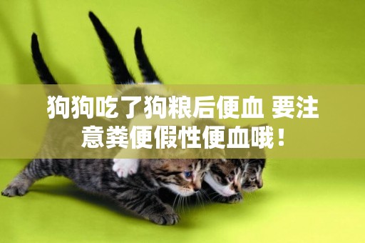 狗狗吃了狗糧后便血 要注意糞便假性便血哦！