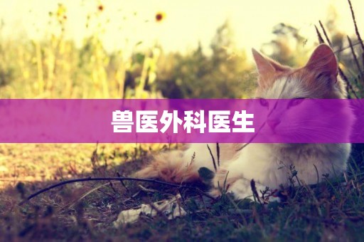 獸醫外科醫生
