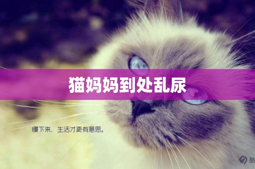 貓媽媽到處亂尿