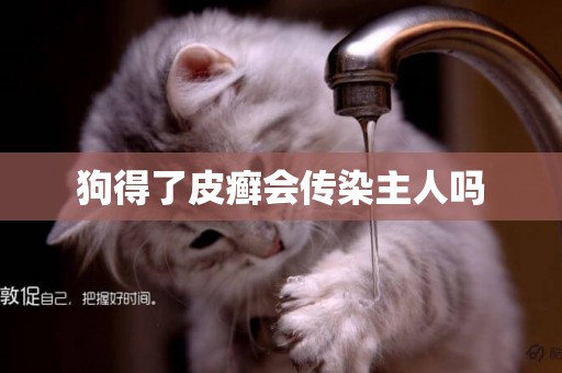 狗得了皮癬會傳染主人嗎