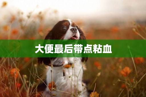 大便最后帶點粘血