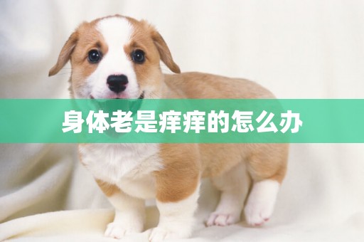 身體老是癢癢的怎么辦