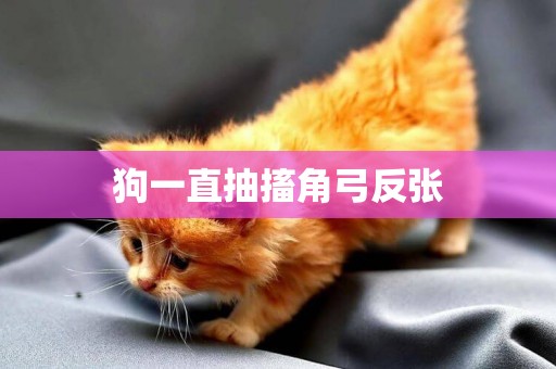 狗一直抽搐角弓反張