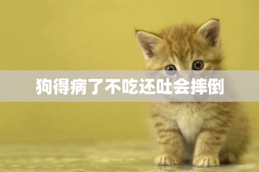 狗得病了不吃還吐會摔倒