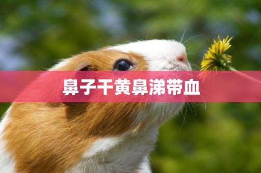 鼻子干黃鼻涕帶血