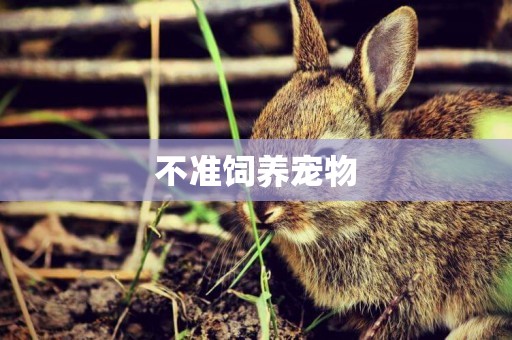 不準飼養寵物