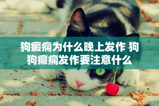 狗癜癇為什么晚上發作 狗狗癲癇發作要注意什么