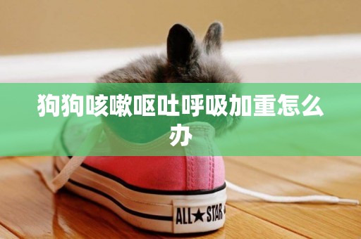 狗狗咳嗽嘔吐呼吸加重怎么辦