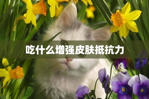 吃什么增強皮膚抵抗力