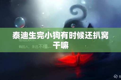 泰迪生完小狗有時候還扒窩干嘛