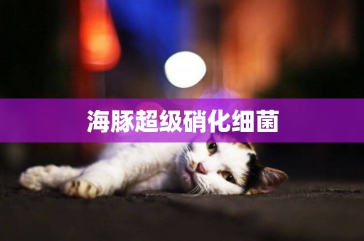 海豚超級硝化細菌