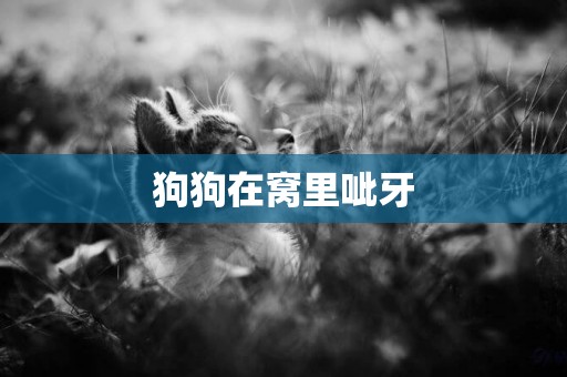 狗狗在窩里呲牙