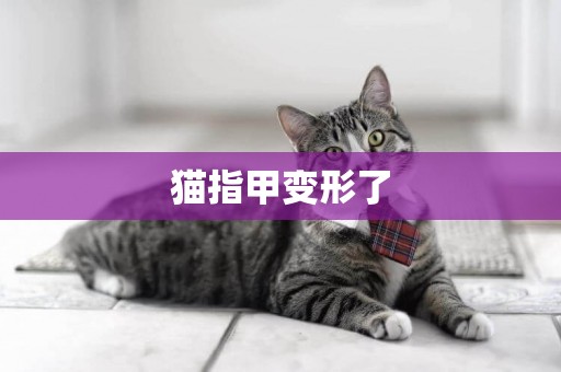 貓指甲變形了