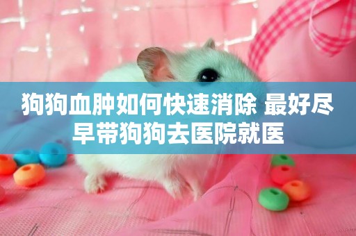 狗狗血腫如何快速消除 最好盡早帶狗狗去醫院就醫