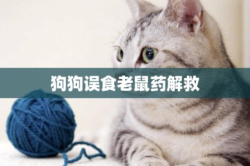 狗狗誤食老鼠藥解救