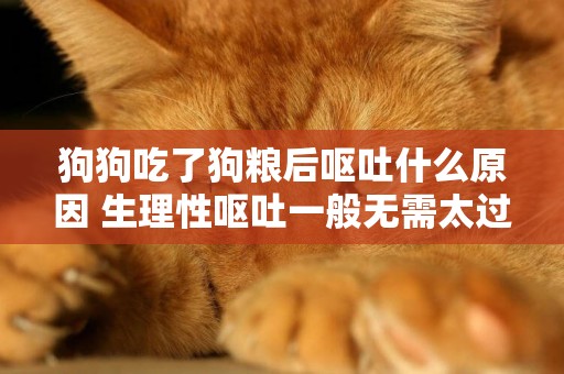 狗狗吃了狗糧后嘔吐什么原因 生理性嘔吐一般無需太過擔心