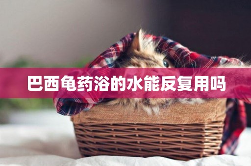 巴西龜藥浴的水能反復用嗎