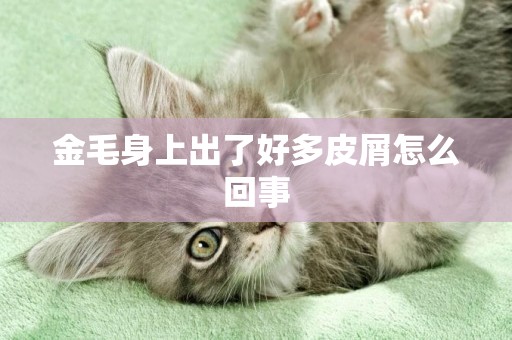 金毛身上出了好多皮屑怎么回事