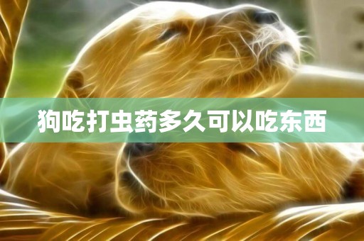 狗吃打蟲藥多久可以吃東西