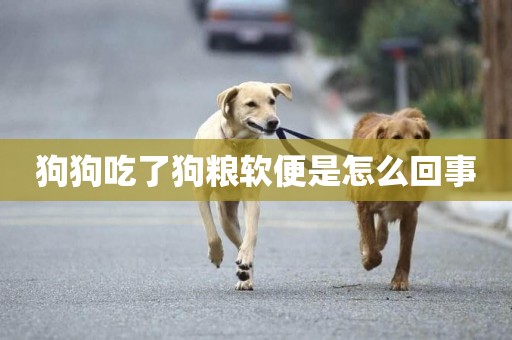 狗狗吃了狗糧軟便是怎么回事