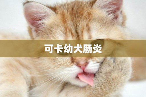 可卡幼犬腸炎