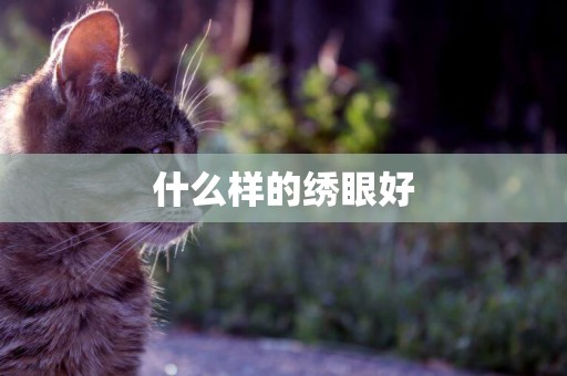 什么樣的繡眼好