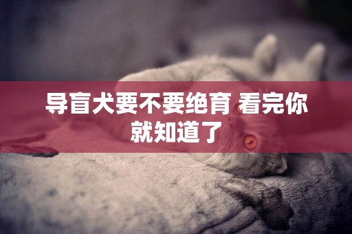 導盲犬要不要絕育 看完你就知道了