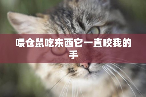 喂倉鼠吃東西它一直咬我的手