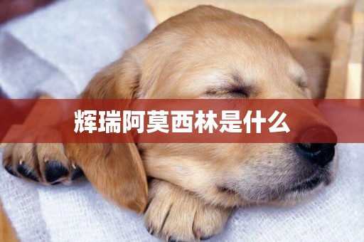 輝瑞阿莫西林是什么