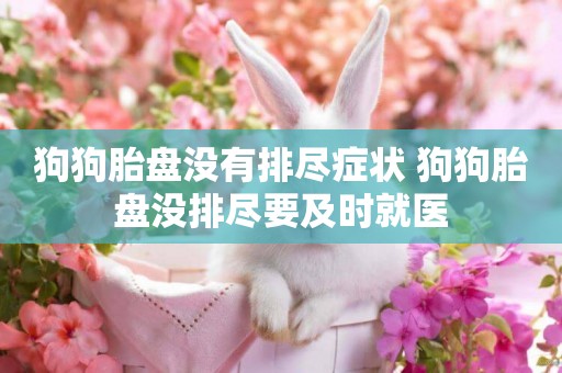 狗狗胎盤沒有排盡癥狀 狗狗胎盤沒排盡要及時就醫
