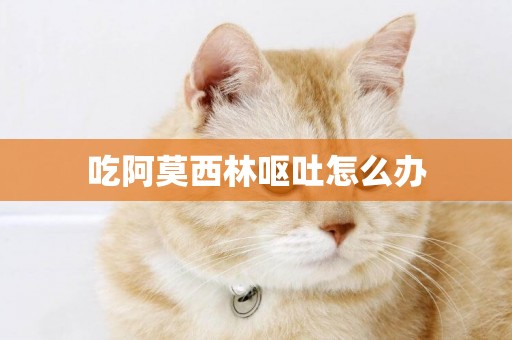 吃阿莫西林嘔吐怎么辦
