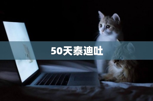 50天泰迪吐