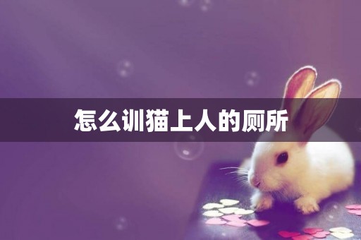 怎么訓貓上人的廁所