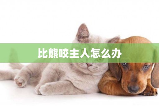 比熊咬主人怎么辦