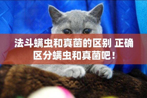 法斗螨蟲和真菌的區別 正確區分螨蟲和真菌吧! 法斗螨蟲和真菌的區別 正確區分螨蟲和真菌吧!