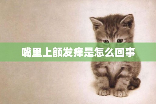 嘴里上額發癢是怎么回事