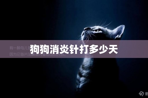 狗狗消炎針打多少天
