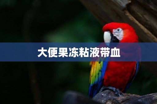 大便果凍粘液帶血