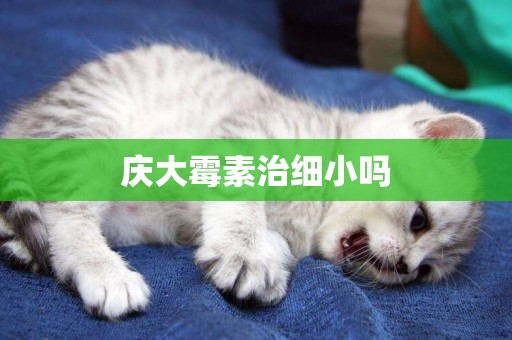 慶大霉素治細小嗎