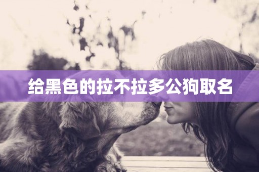 給黑色的拉不拉多公狗取名