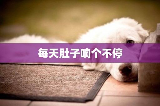 每天肚子響個不停