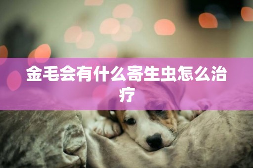 金毛會有什么寄生蟲怎么治療