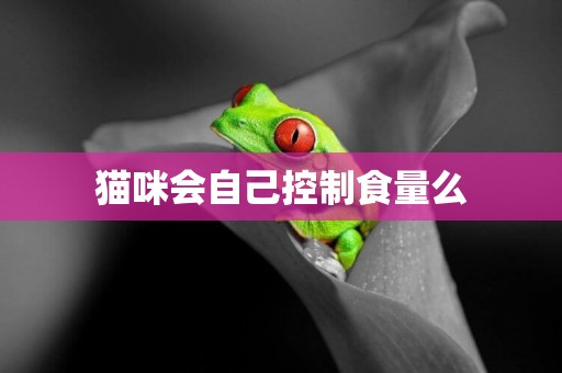 貓咪會自己控制食量么